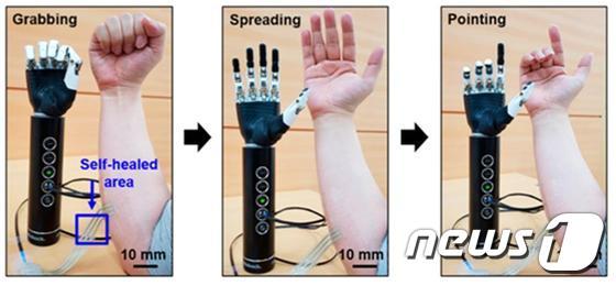 인간-로봇 인터커넥트로 작용하여 인간의 팔 움직임을 로봇 팔에게 전달할 수 있는 고분자 복합체 © 뉴스1