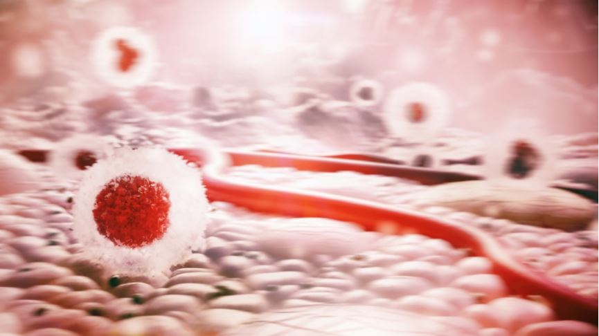 프로스테믹스의 줄기세포 엑소좀 유래 miRNA 기반의 4세대 항암 물질 (출처: 프로스테믹스)