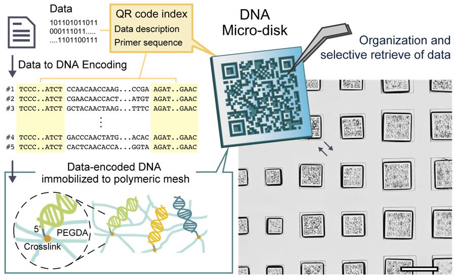 DNA-디스크의 정보 저장 원리와 손바닥 크기의 데이터센터 (출처: 서울대학교)