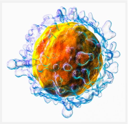 코로나19에 감염됐는데도 증상이 나타나지 않는 데는 면역계의 T세포가 주요 역할을 하는 것으로 추정된다. 우리 몸의 면역계를 구성하는 림프구 세포의 3차원 일러스트(사진=WikiCommons/Blausen Medical)
