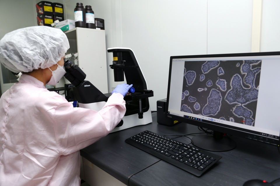 차바이오텍 연구원이 배양중인 줄기세포를 확인하고 있다(사진=차바이오텍)