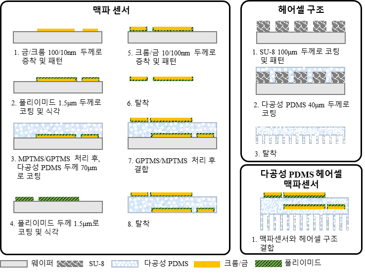 다공성 헤어셀 구조의 맥파 센서 공정 과정(사진=KAIST)