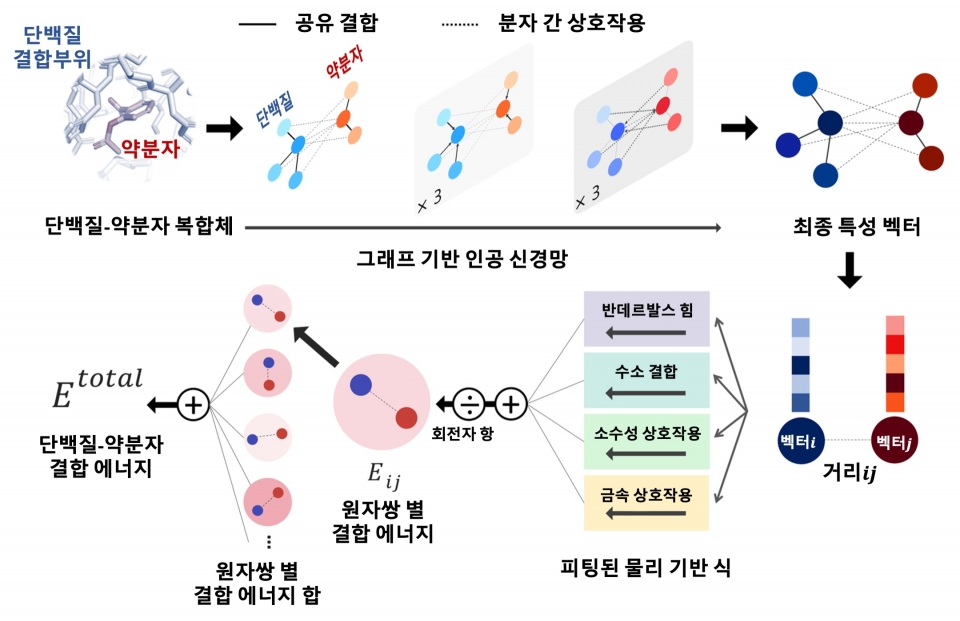 단백질-리간드 간 상호작용 예측 모델의 개요도(사진=KAIST)