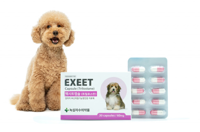 국내 제조 반려동물 쿠싱증후군 치료제 ‘엑시트’(사진=녹십자수의약품)