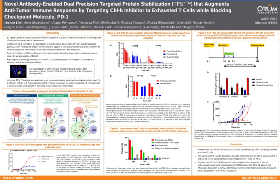 PD-1 표적 항체와 Cbl-b 저해제를 결합을 통한 향상된 전임상 면역 항암 반응(PD-1-Cbl-bi TPS² preclinical poster)(사진=오름테라퓨틱)