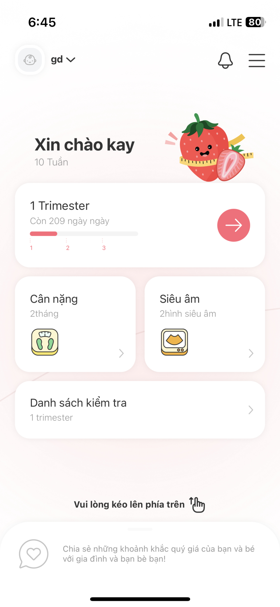 마미톡 베트남 서비스 화면(사진=랩지노믹스)