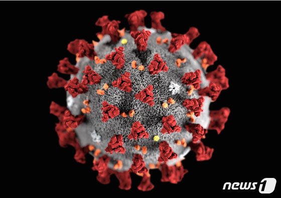 미국 질병통제예방센터(CDC)가 제작한 2019 신종 코로나바이러스 모형도. © 뉴스1
