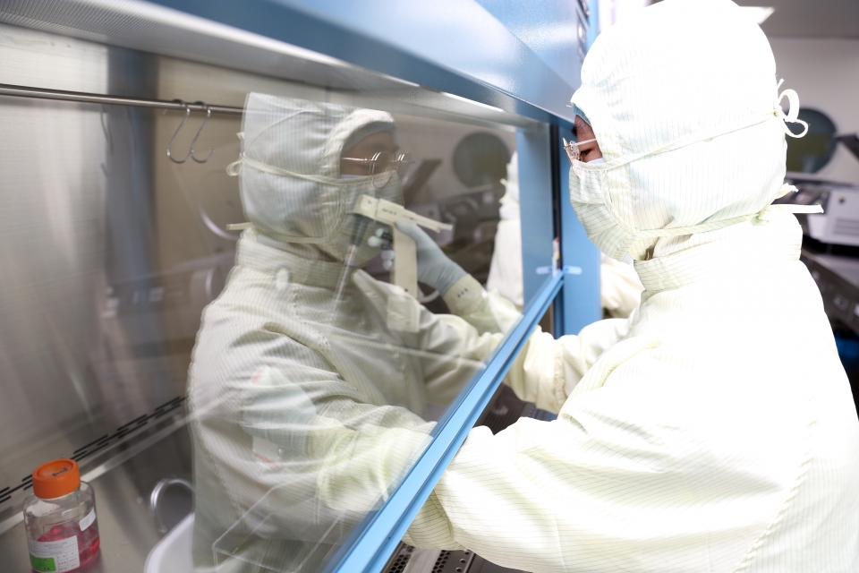 첨단바이오의약품 제조를 위해 작업자가 생물안전작업대(BSC)에서 세포를 수집하고 있다(사진=차바이오텍)