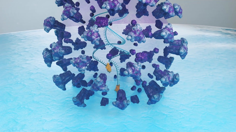 에이즈 바이러스가 면역세포에 침투하려는 모습(사진=한국화학연구원)