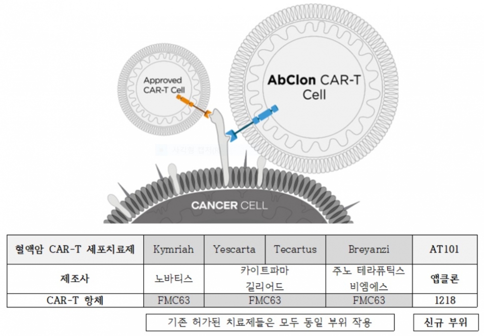 앱클론 AT101은 기존 CAR-T 세포치료제와 에피토프가 전혀 다른 신규 항체(1218)가 적용돼있다(사진=앱클론)